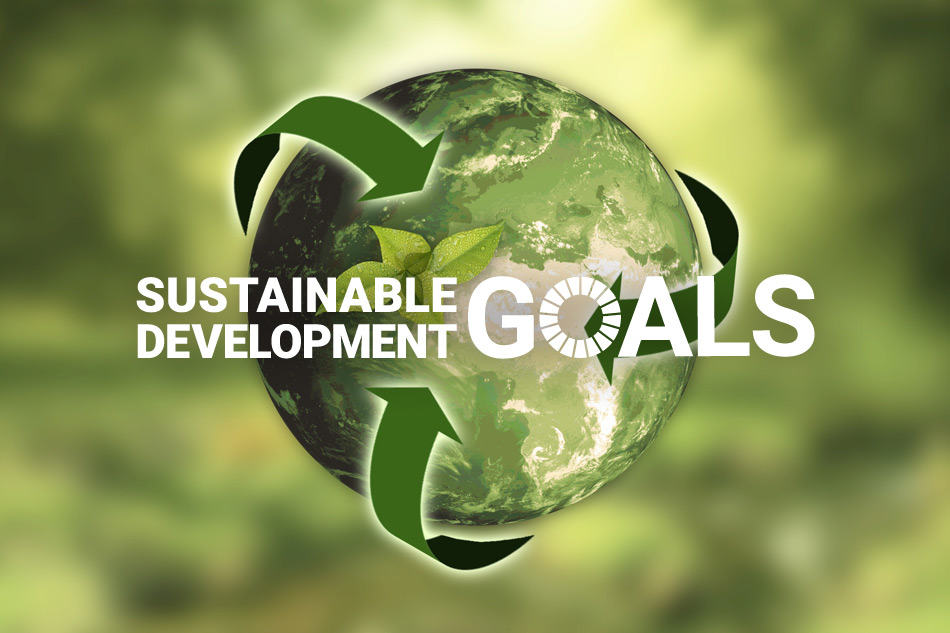 【お知らせ】SUSTAINABILITYを改定しました